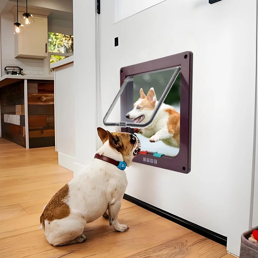 4 Way Locking Pet Flap Door 3