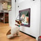4 Way Locking Pet Flap Door 3