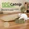 Interactive Catnip Scratching Pillow Toy 1