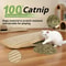 Interactive Catnip Scratching Pillow Toy 1