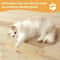 Interactive Catnip Scratching Pillow Toy 2