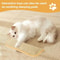 Interactive Catnip Scratching Pillow Toy 2