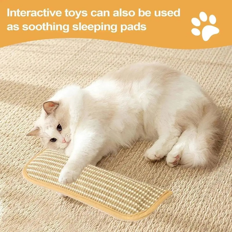Interactive Catnip Scratching Pillow Toy 2