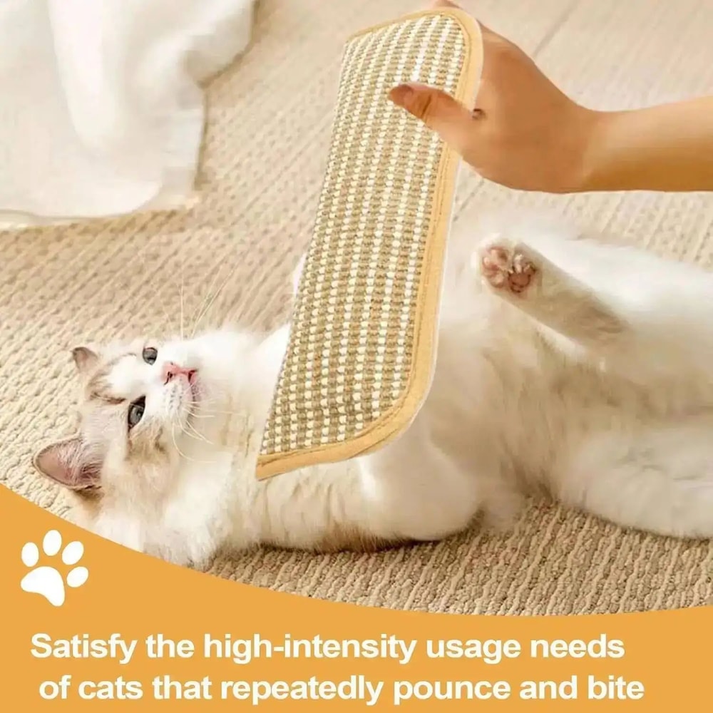 Interactive Catnip Scratching Pillow Toy 3