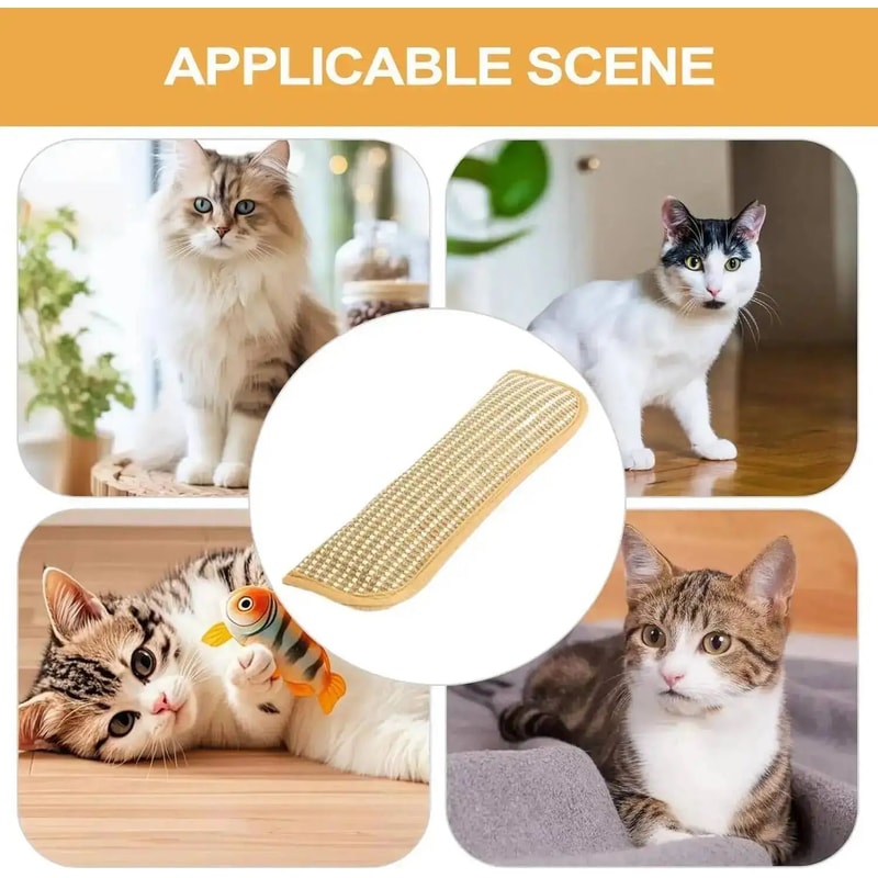 Interactive Catnip Scratching Pillow Toy 4