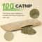 Interactive Catnip Scratching Pillow Toy 7