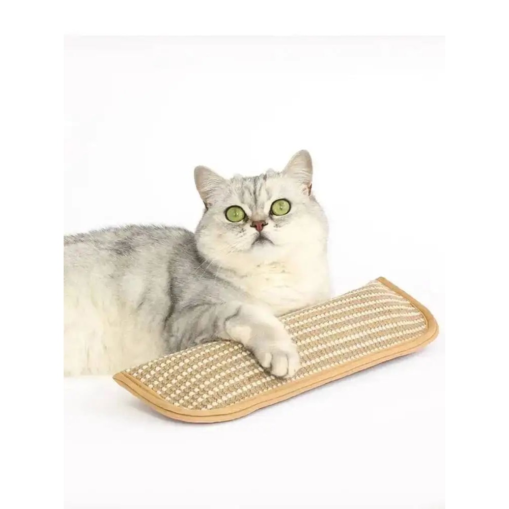 Interactive Catnip Scratching Pillow Toy 9