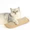 Interactive Catnip Scratching Pillow Toy 9