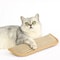 Interactive Catnip Scratching Pillow Toy 9