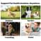 Disposable Pet Finger Tooth Wipes 5