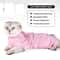 Cat Recovery Suit Alternative To E Collar 2