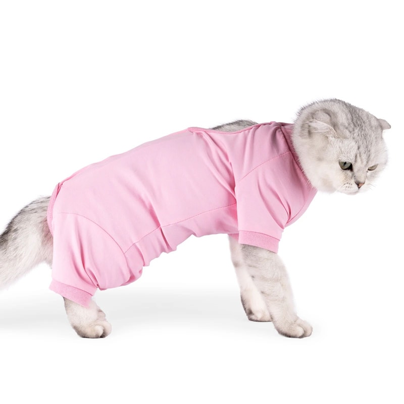 Cat Recovery Suit Alternative To E Collar 4