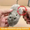 Wind Up Plush Mouse Cat Toy Set 2