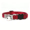 Customized Glitter Cat Collar With Bell 12