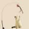 Suction Cup Feather Bird Cat Teaser Toy 0