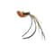 Suction Cup Feather Bird Cat Teaser Toy 5