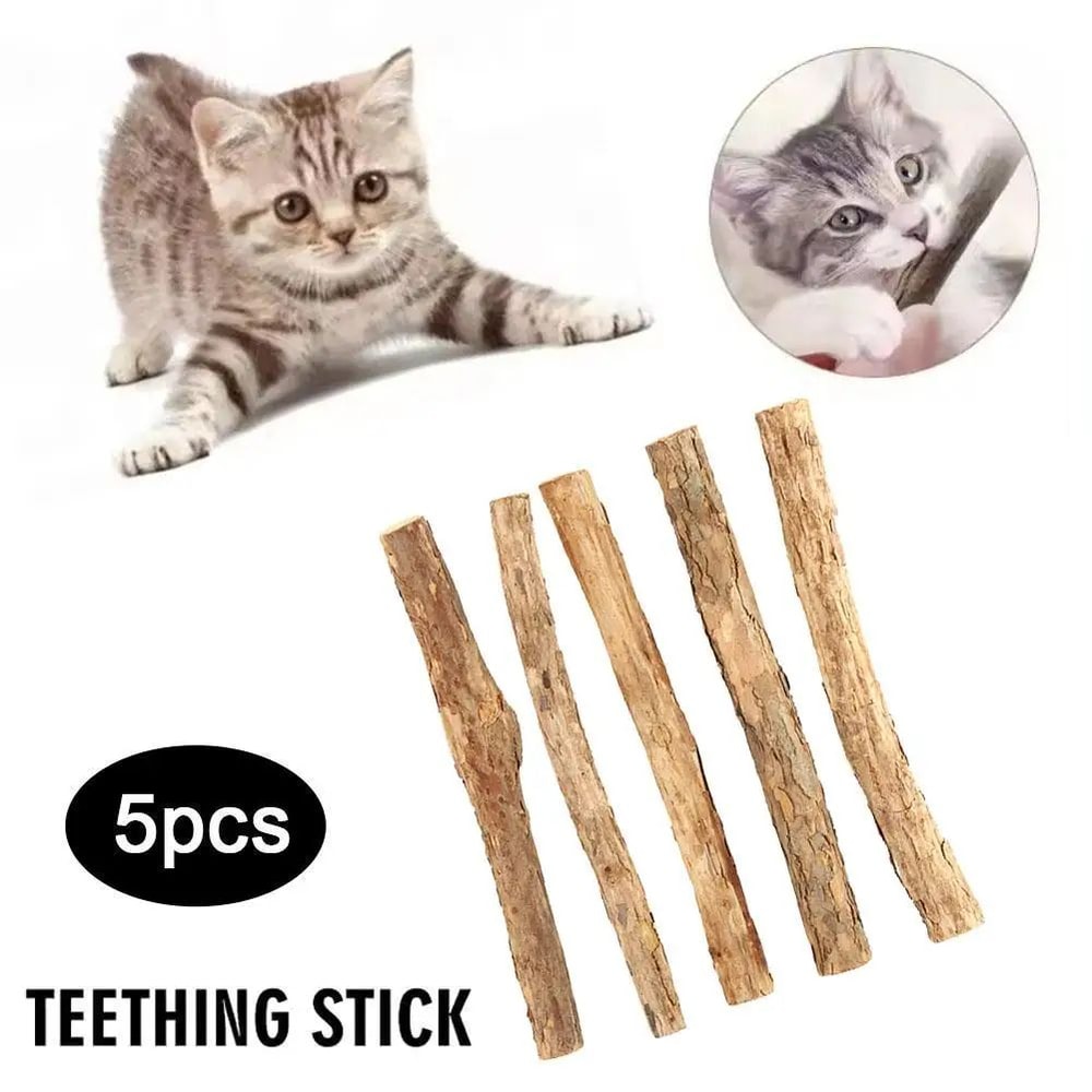 Natural Catnip Sticks Dental Chew Toys 0