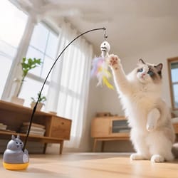 interactive feather fishing rod cat toy