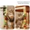 Interactive Feather Fishing Rod Cat Toy 9