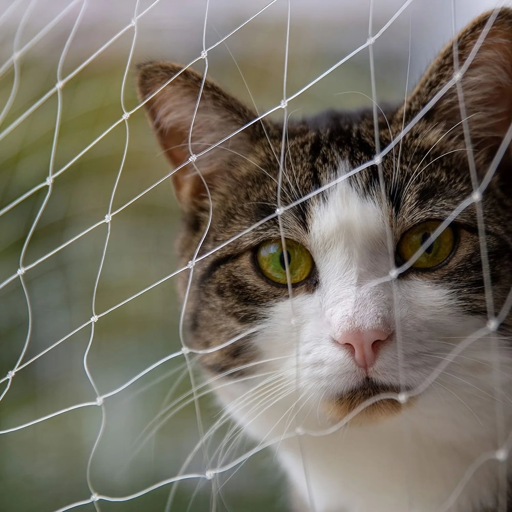 Transparent Cat Safety Net For Balcony And Stairs 4