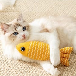 interactive fish cat kicker toy