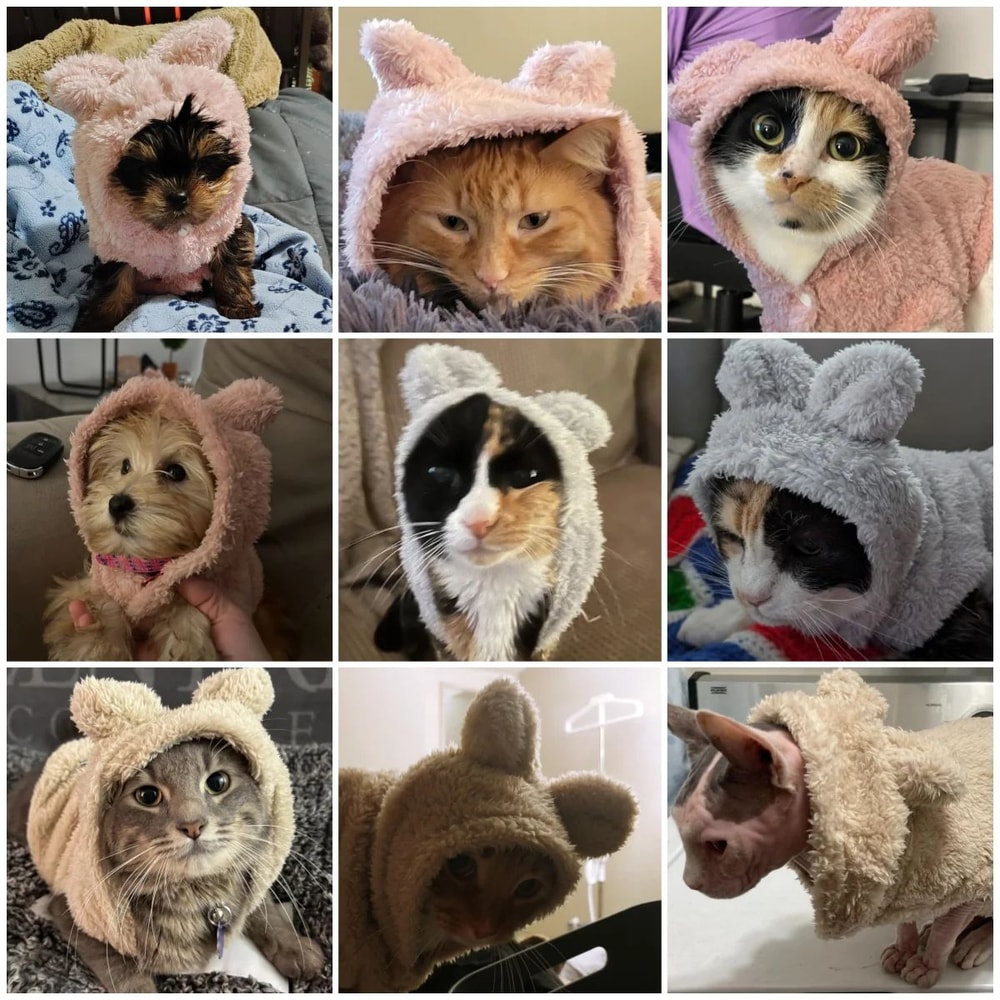 Warm Fleece Cat Hoodie Sweater For Small Pets 4