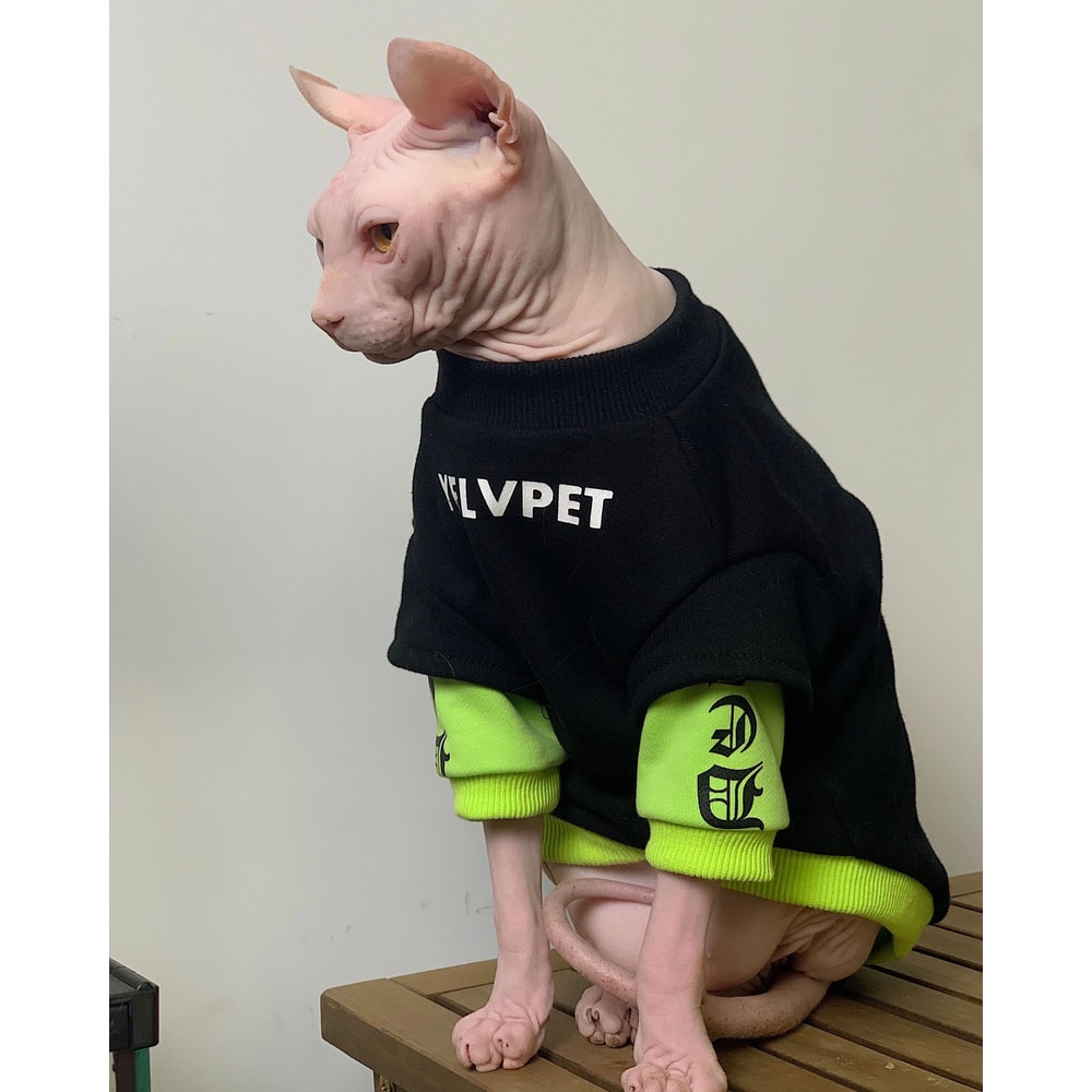 Warm Cotton Sweatshirt For Sphynx Cats 2