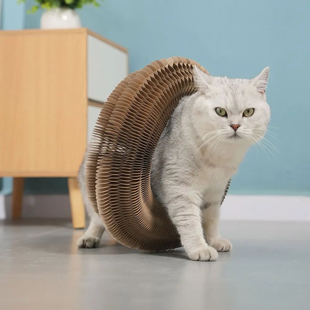 Foldable Corrugated Cat Scratching Toy Board 5