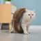 Foldable Corrugated Cat Scratching Toy Board 5