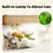 Interactive Hanging Bird Cat Teaser Toy 8