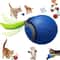 Interactive Hanging Bird Cat Teaser Toy 22