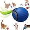 Interactive Hanging Bird Cat Teaser Toy 22