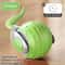 Interactive Hanging Bird Cat Teaser Toy 24