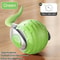Interactive Hanging Bird Cat Teaser Toy 24