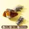 Interactive Hanging Bird Cat Teaser Toy 27