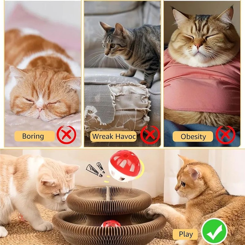 Magic Organ Cat Scratching Board Toy 3