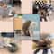 Magic Organ Cat Scratching Board Toy 5