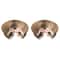 Magic Organ Cat Scratching Board Toy 7