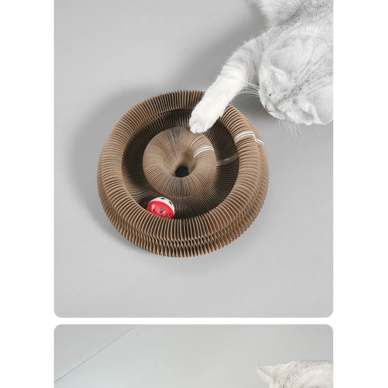 Round Magic Organ Cat Scratching Toy With Ball 6