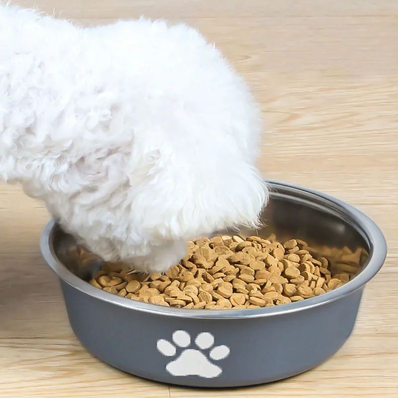 Stainless Steel Non Slip Pet Feeding Bowl 2