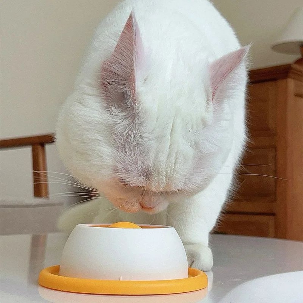 Interactive Slow Feeder Puzzle Bowl For Cats 4
