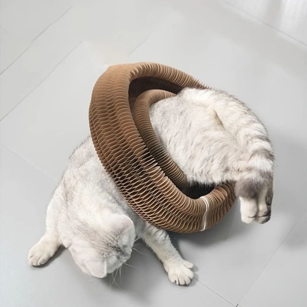 Twistable Cardboard Cat Scratcher Toy 3