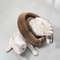 Twistable Cardboard Cat Scratcher Toy 3
