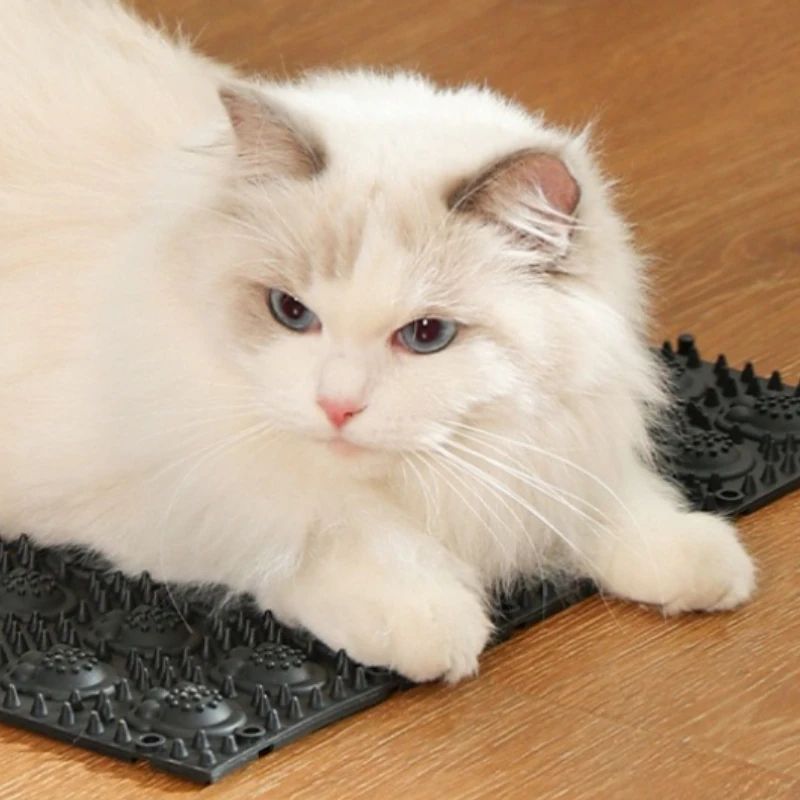 Self Cleaning Cat Massage Grooming Comb 1