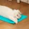 Self Cleaning Cat Massage Grooming Comb 2