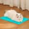 Self Cleaning Cat Massage Grooming Comb 4