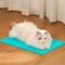 Self Cleaning Cat Massage Grooming Comb 4