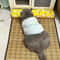 Natural Cooling Rattan Pet Bed Mat 9