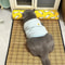 Natural Cooling Rattan Pet Bed Mat 9