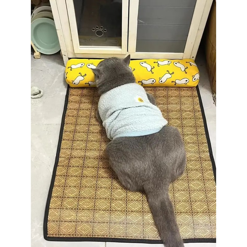 Natural Cooling Rattan Pet Bed Mat 9